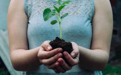Why Regenerative Is Part of WEMatter